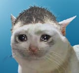 JUST&#039;d sad Kit