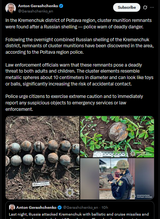 In the Kremenchuk district of Poltava region, cluster munition remnants were found after a Russian shelling — police warn of deadly danger. 21-06-2025