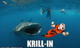 krillin_becomes_krill_gif_meme_by_drajakvakarian_d6eqfed-fullview