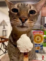 IMG_20250611_021548_522