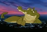 Crocodile