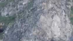 335 (1)_thumb.jpg