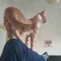 VID_20250621_225224_147_thumb.jpg