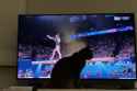 kot_magic__thumb.jpg