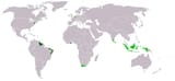 Dutch_Empire