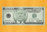Trump $250 Bill