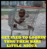 niglet prison bars