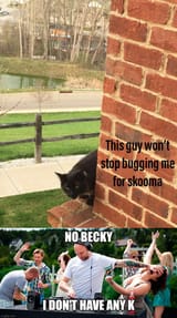 noskoomak