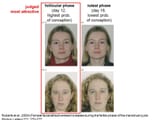 woman fertile cycle phase