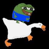 duck_riding