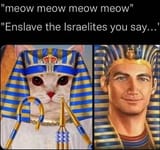564456546984489