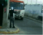 bus