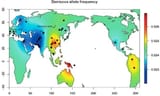 denisovan_map-4eaf0a7-intro-2636793329