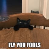 kot fly