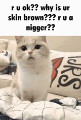 nigger