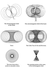 torus