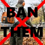 banleafs