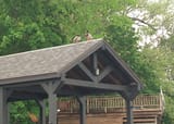 ducksonaroof