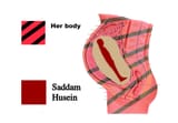saddam guide