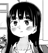 yamada concern