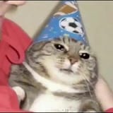 1647911982418