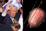 Images-show-possible-bullet-trajectory-in-Trumps-assassination-attempt-