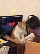 defeat