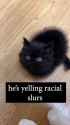 racial slurs_thumb.jpg