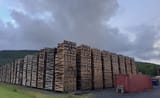palletland