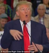 2ED13B6300000578-3334489-Donald_Trump-a-5_1448544735420