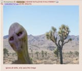 1724701723432214