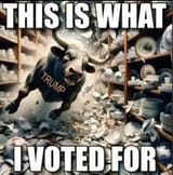maga good vote