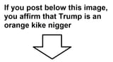 nigger