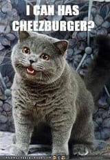 y2vwOCp7312D8ZotoayVa4d3JtyCAhJNDcw0Bwejurg