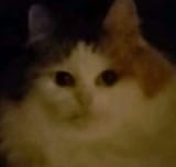 1748561157456682