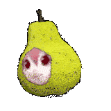 pearto-kasane-teto