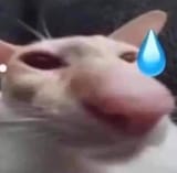 1744163439471303