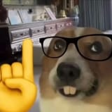 1729543729386444