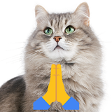 CATPRAY