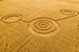 fake-ufo-circles-on-grain-600nw-1776185294