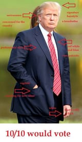 100%-would-vote