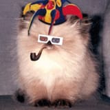 fiestacat
