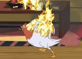 gay chicken