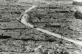 The Americans Ignored The Human Cost