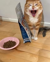 jsuqyfayuaqe1