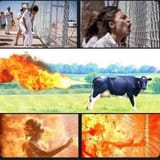 AOC