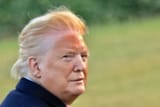 trumptan
