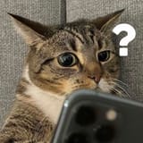 1732861254299062