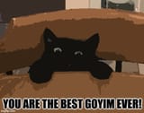 bestgoy221