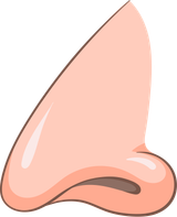 nose-clipart-original